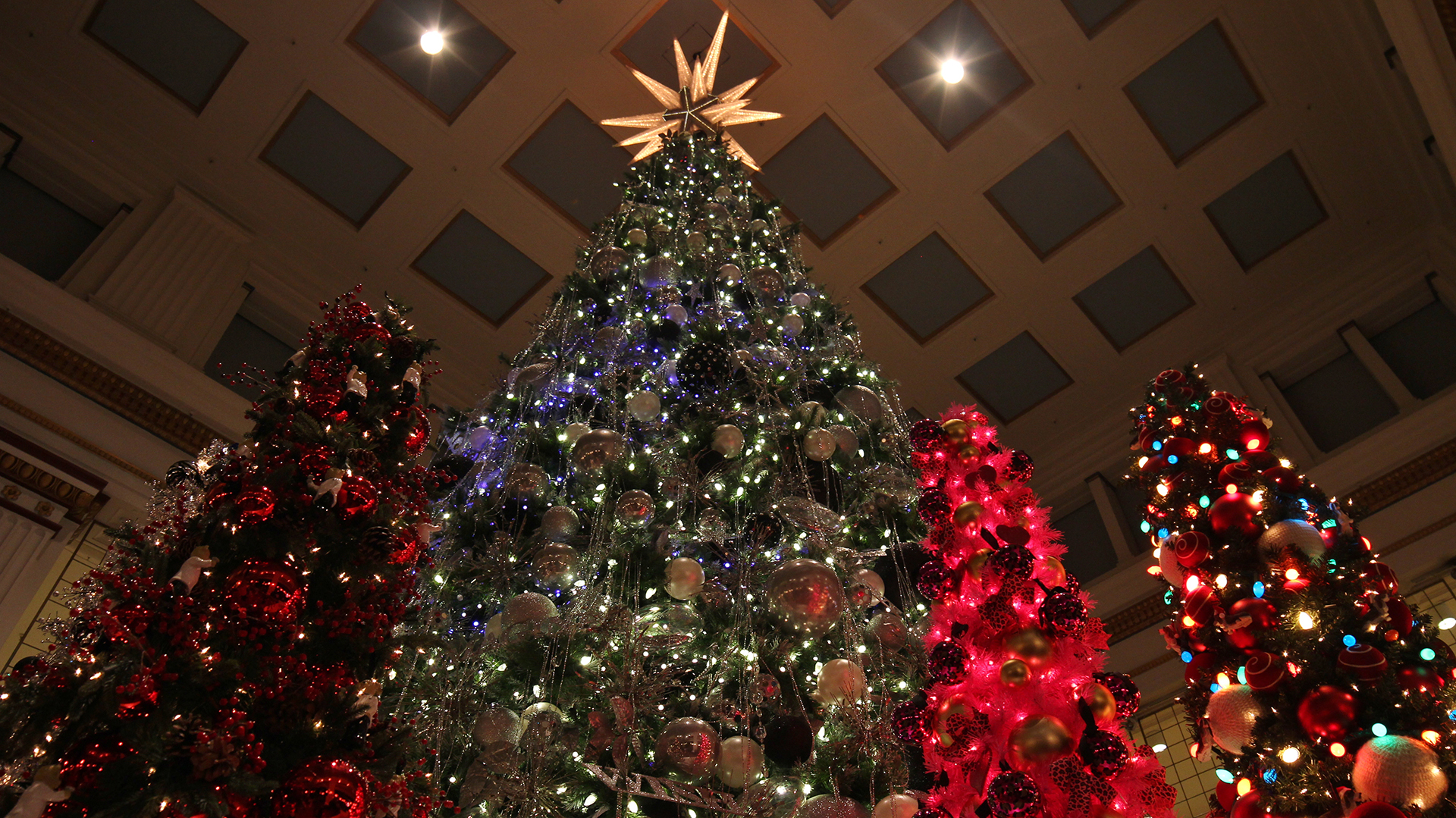 Macy's Christmas Tree